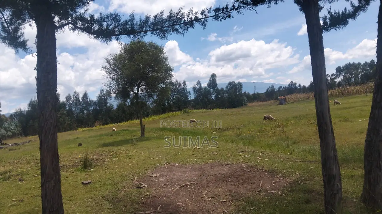 Residential Land for Sale in Kabubani in Kipipiri
