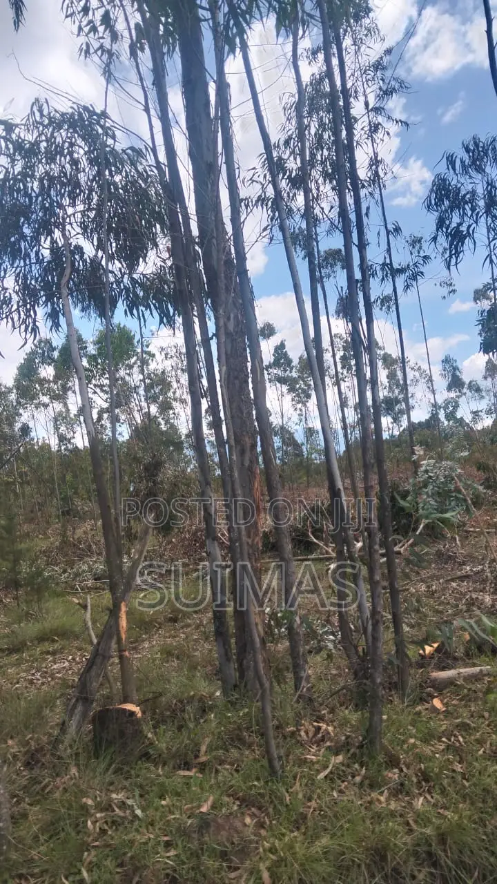 Residential Land for Sale in Kabubani in Kipipiri