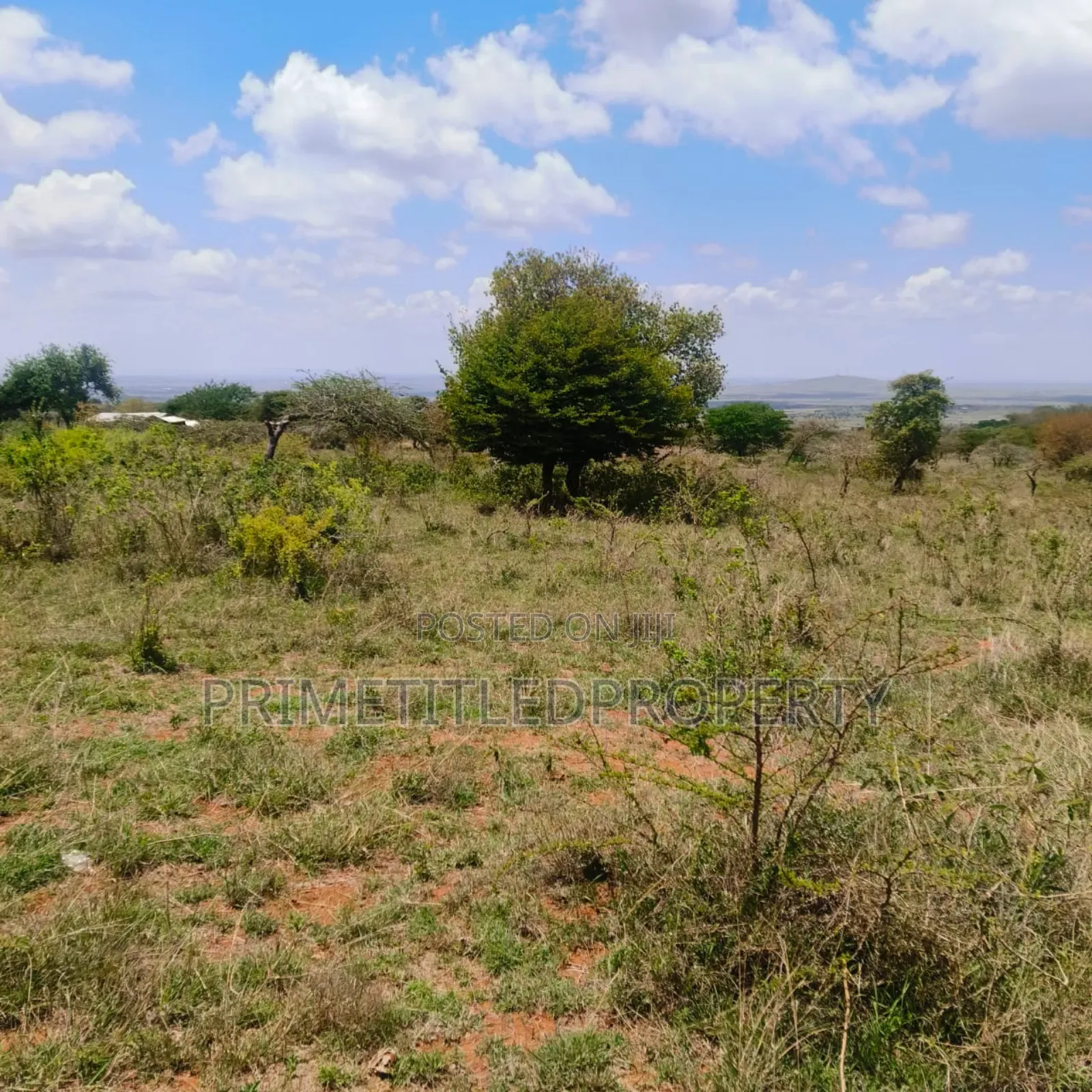 10.8 Acres on Red Soil in Machakos Town
