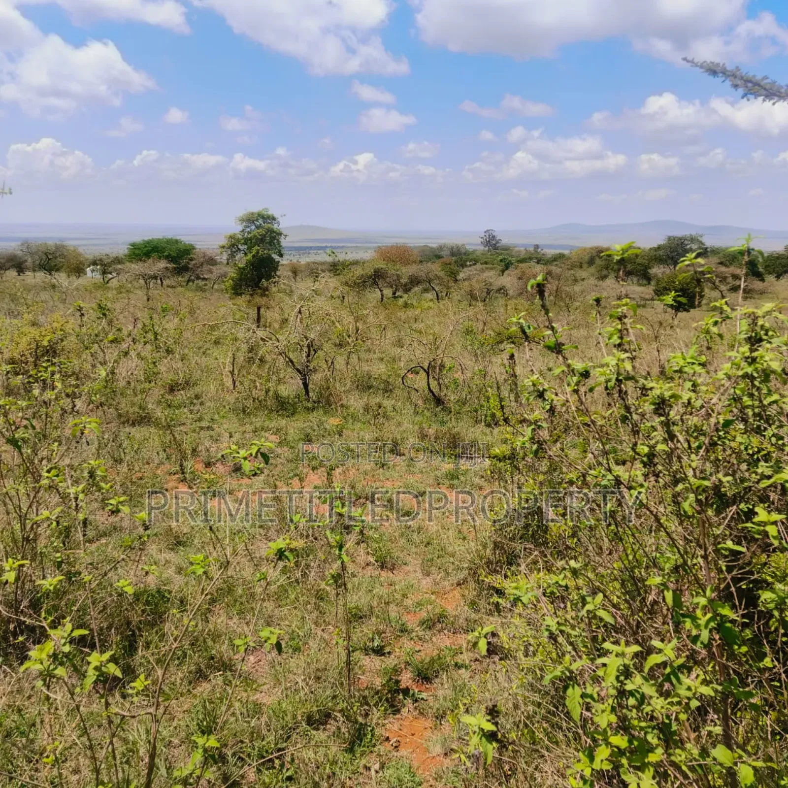 10.8 Acres on Red Soil in Machakos Town
