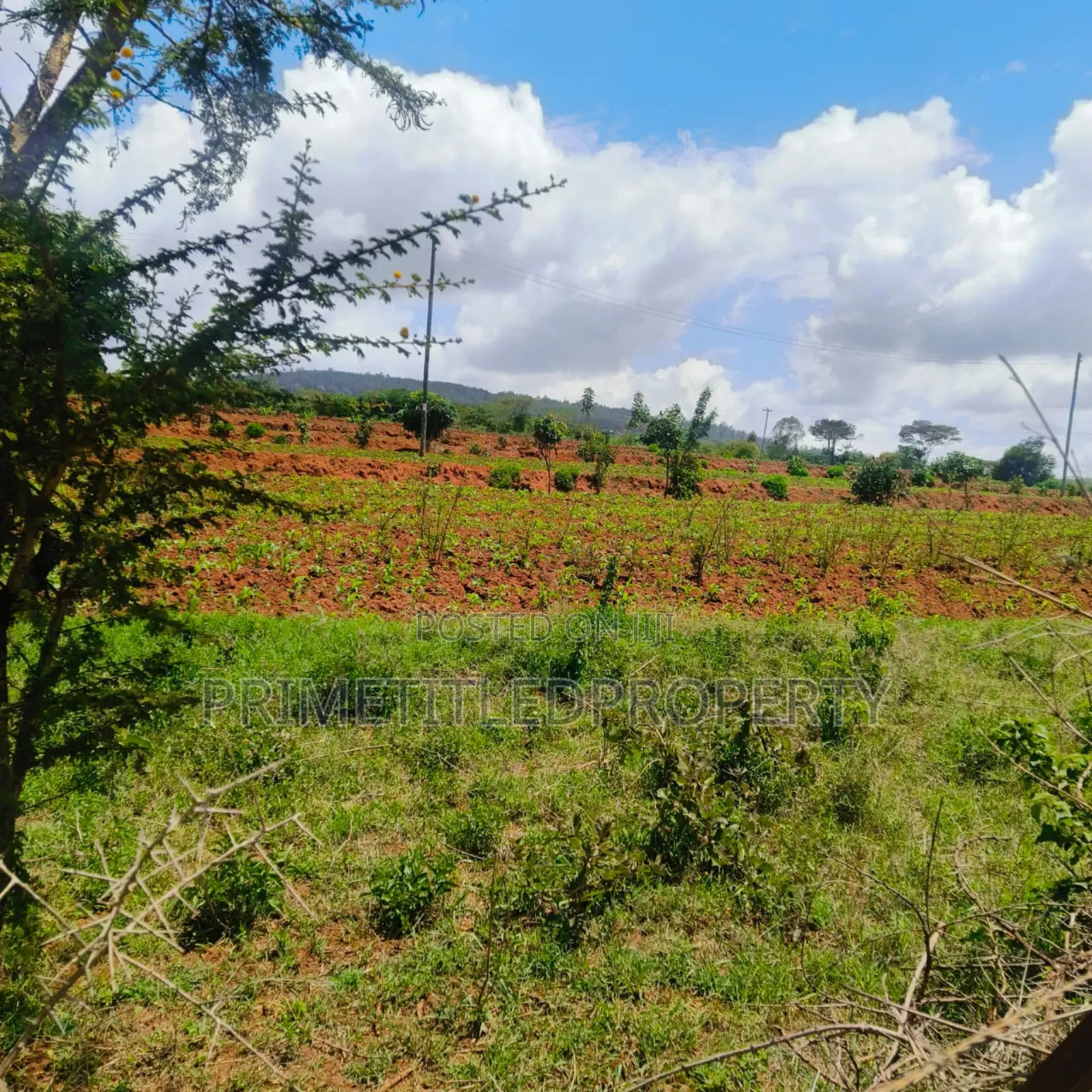 10.8 Acres on Red Soil in Machakos Town