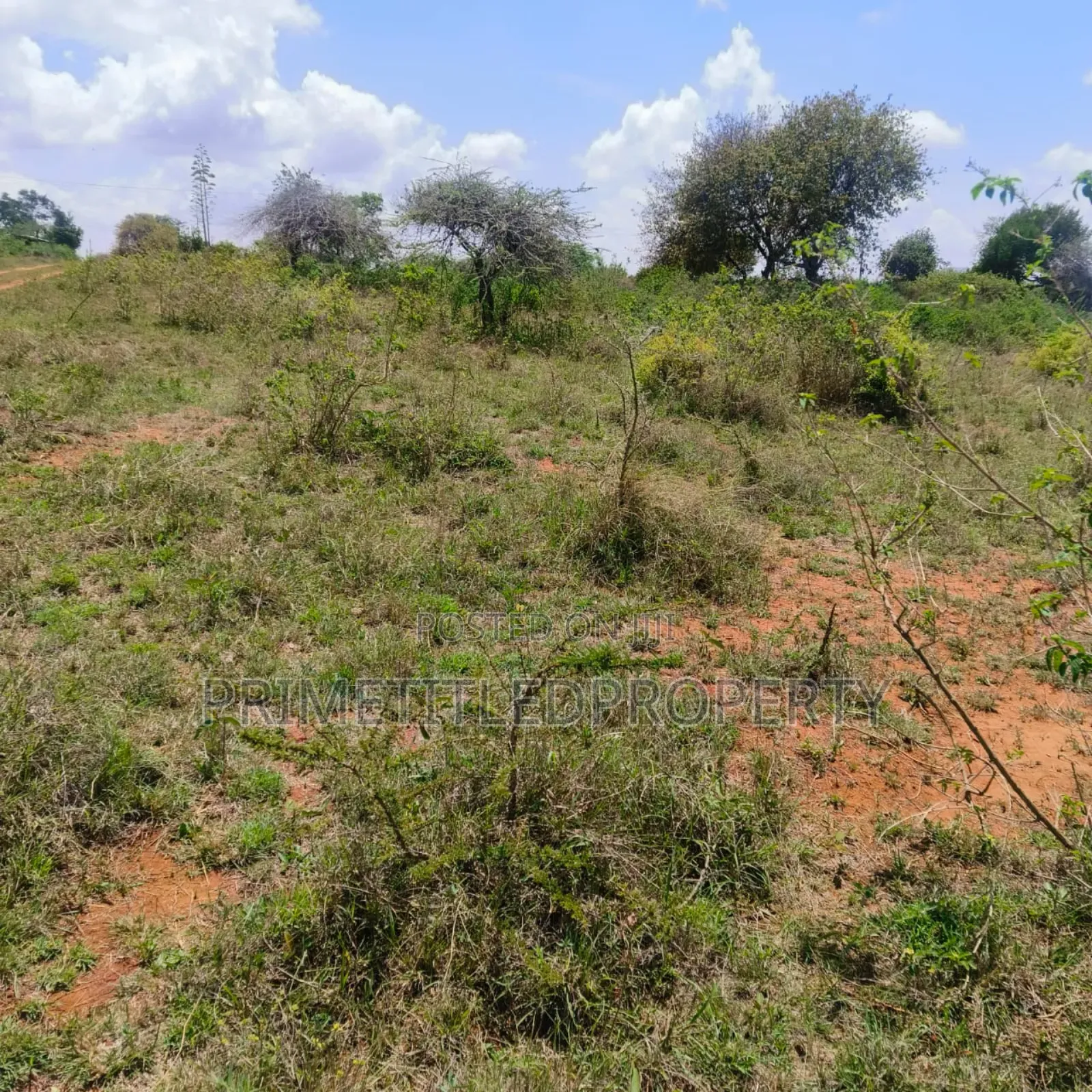 10.8 Acres on Red Soil in Machakos Town