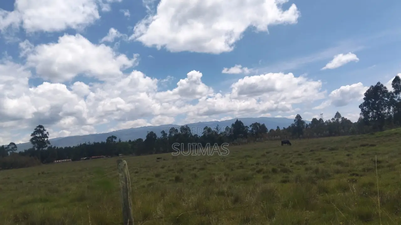 Brothers Land At Kaibaga Near Major Njoroge's Land. in Kipipiri