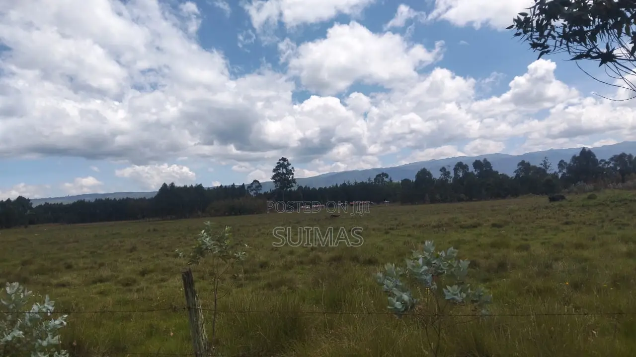 Brothers Land At Kaibaga Near Major Njoroge's Land. in Kipipiri