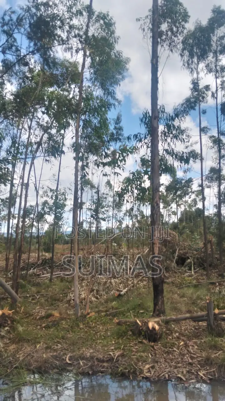 Land For Sale In Bathas Area Olkalou in Kipipiri