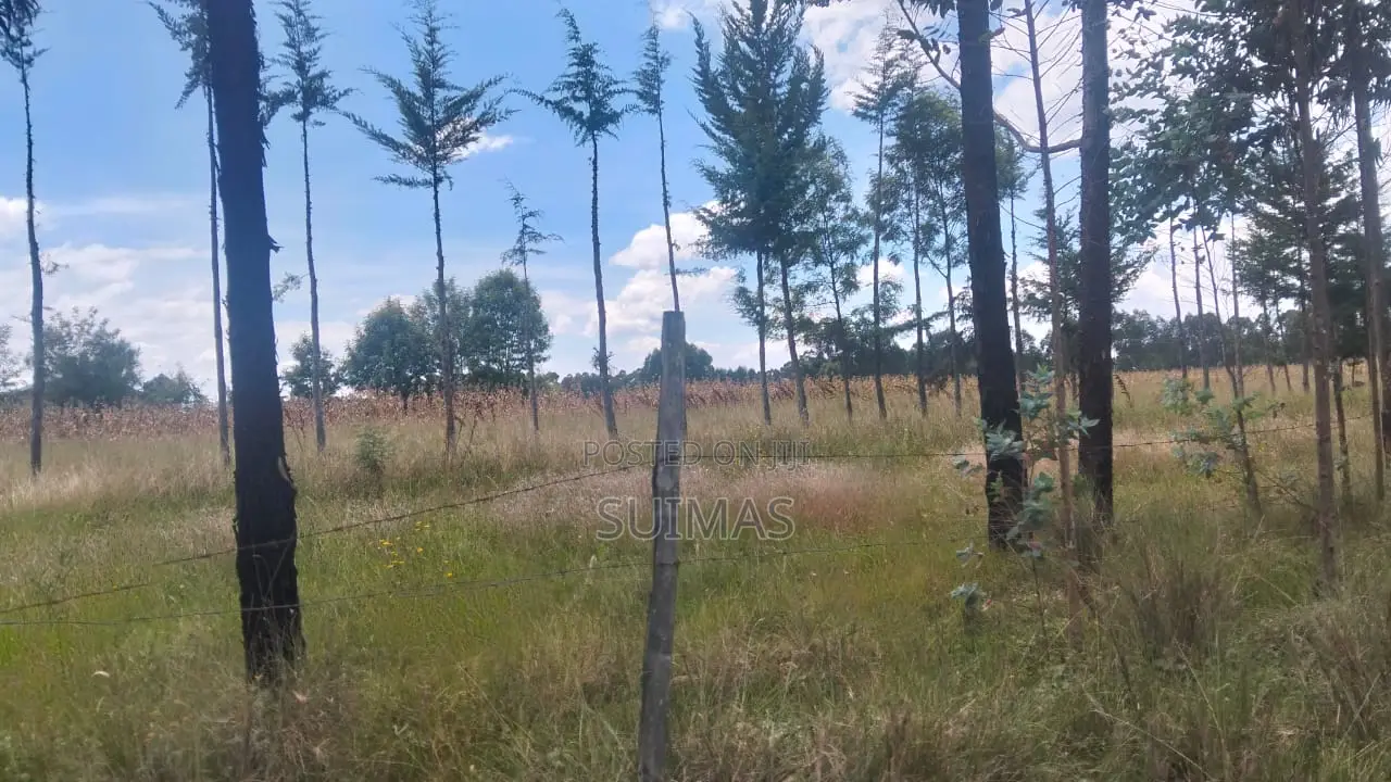 Land For Sale In Bathas Area Olkalou in Kipipiri