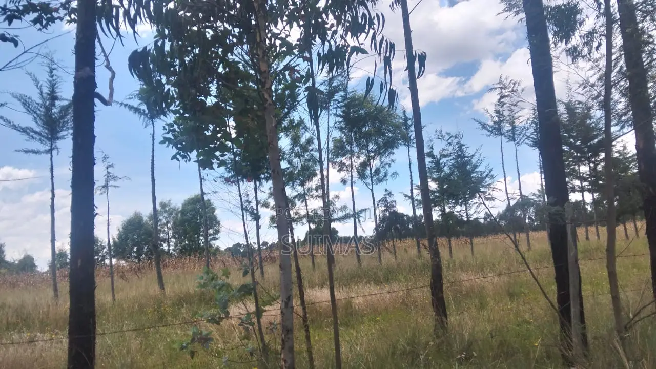 1 Acre Land For Sale In Bathas Olkalou in Kipipiri