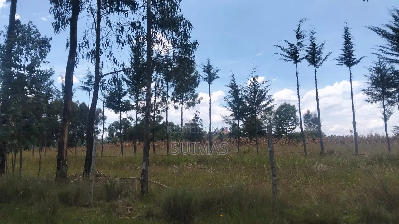 1 Acre Land For Sale In Bathas Olkalou in Kipipiri