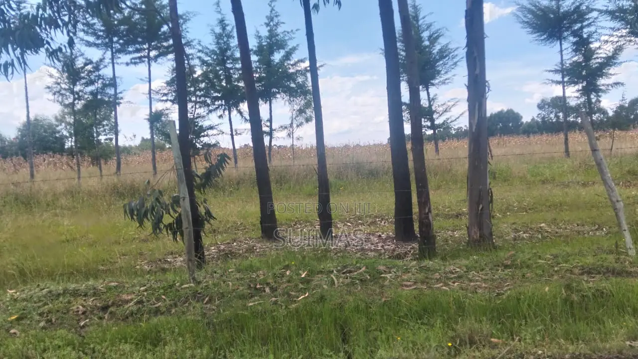 Cheap Land for Sale in Kabubani Nyandarua in Kipipiri