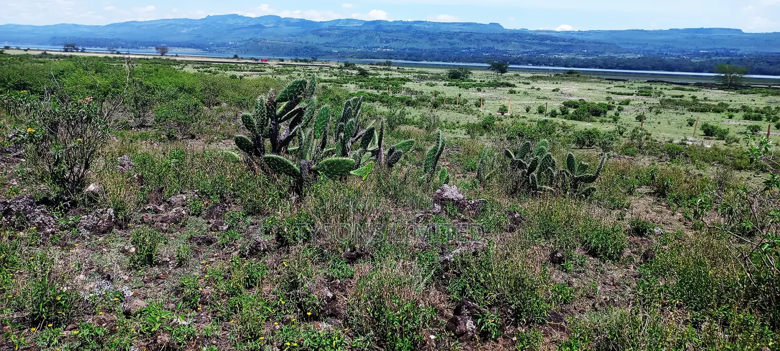 Land for Sale at Lake Elementaita Area in Elementaita