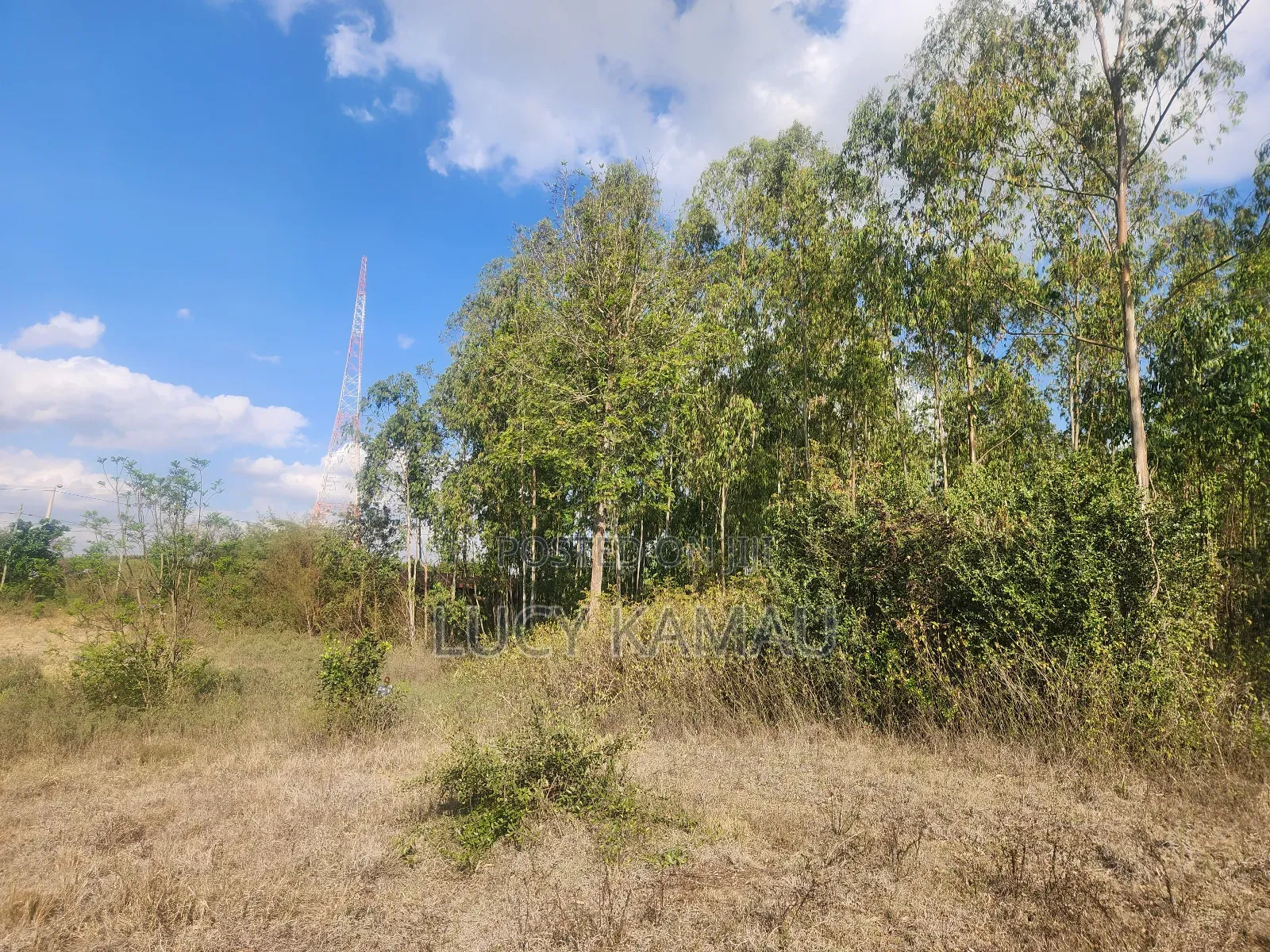Prime Commercial 1 Acre Land in Kererapon in Kerarapon