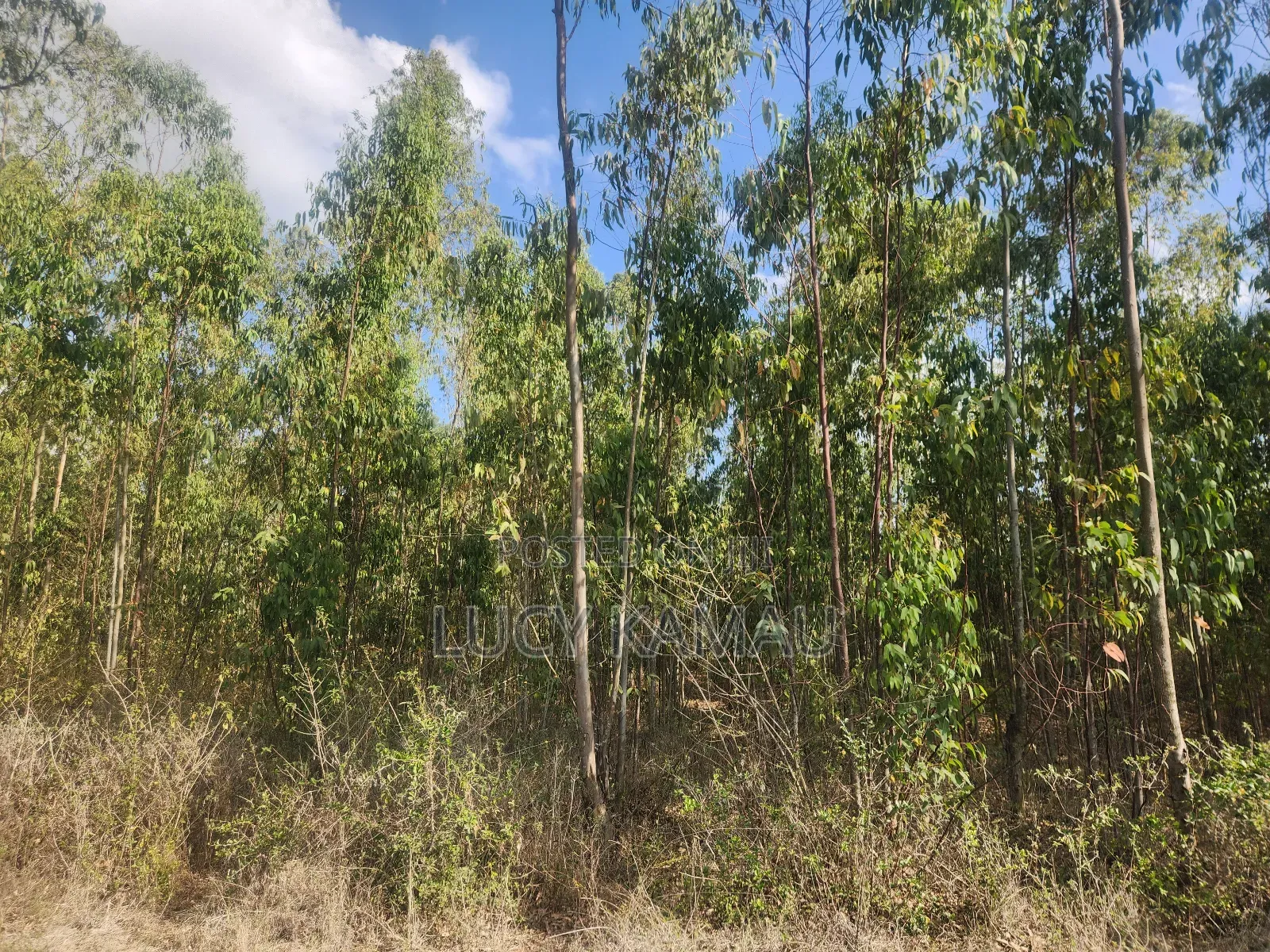 Prime Commercial 1 Acre Land in Kererapon in Kerarapon