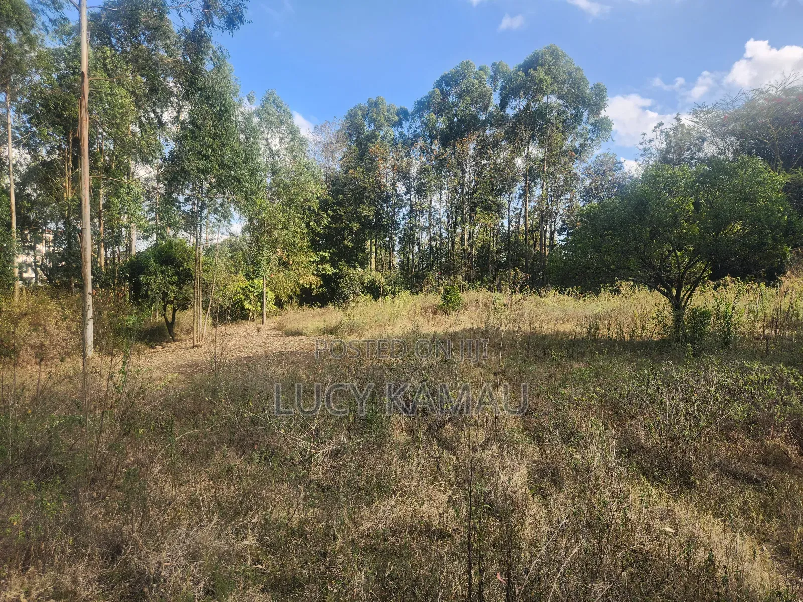 Prime Commercial 1 Acre Land in Kererapon in Kerarapon