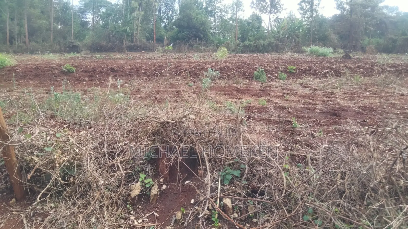 Prime Residential Land for Sale in Ngong in Oluulua