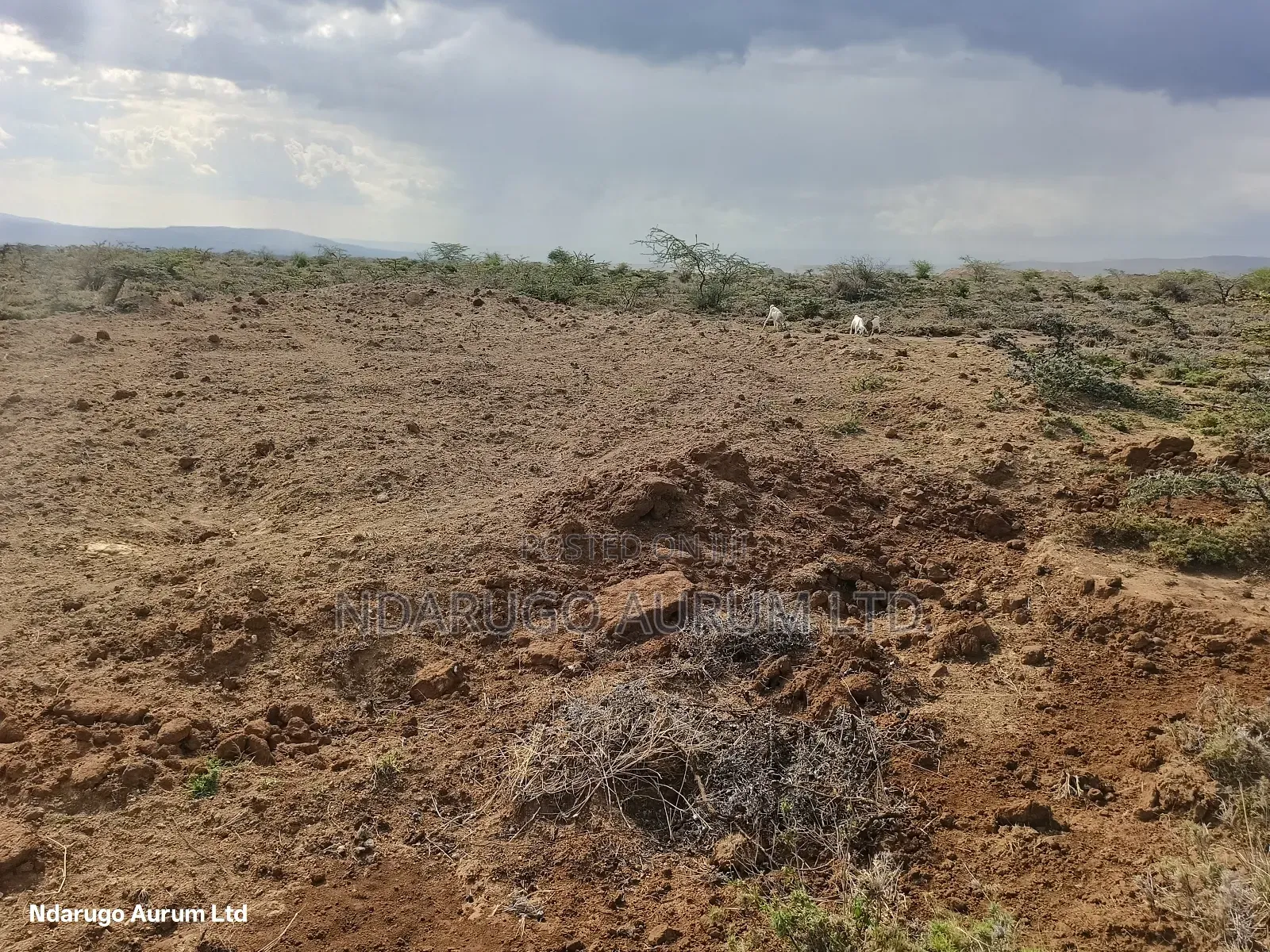 Quarry Land Maimahiu 14 Acres in Mai Mahiu