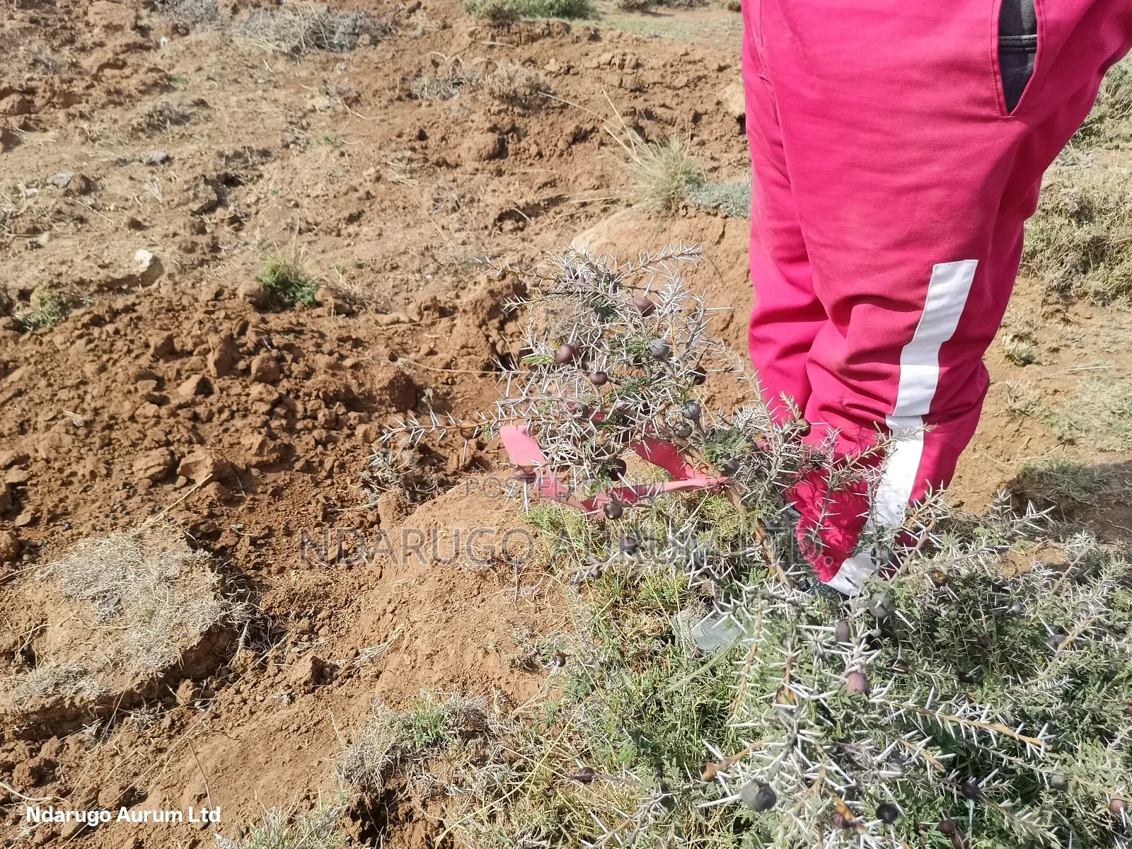 Quarry Land Maimahiu 14 Acres in Mai Mahiu