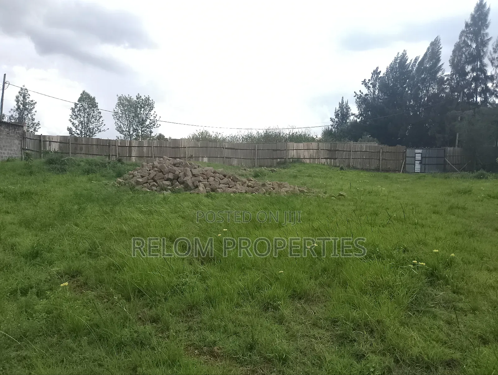 Half Acre Plus 3 Bed Cottage for Rent in Karen in Karen