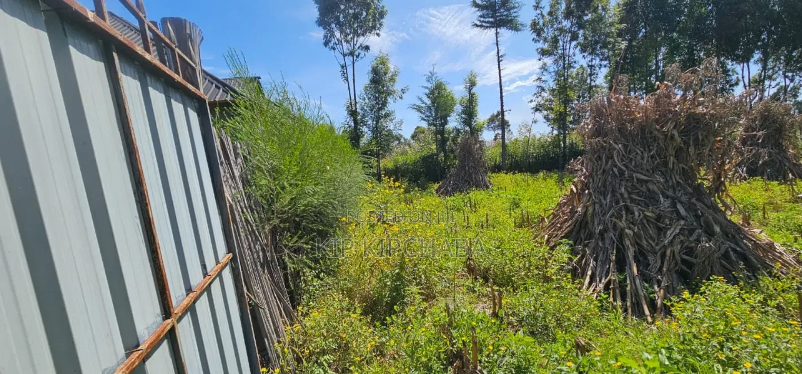 Prume 1⁄4 Plot for Sale in Chepkanga Eldoret Mutei Road in Kimumu