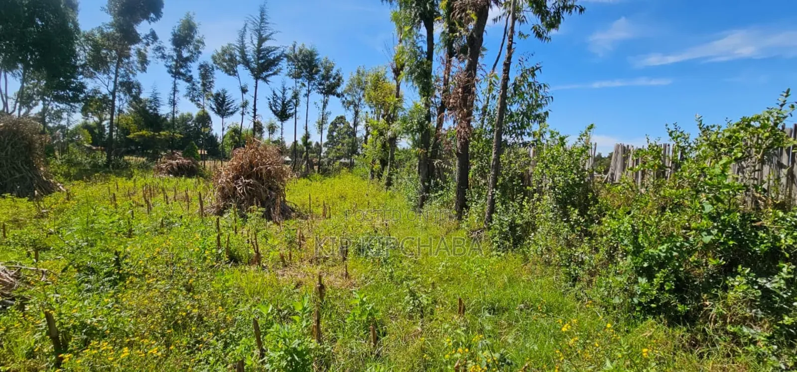 Prume 1⁄4 Plot for Sale in Chepkanga Eldoret Mutei Road in Kimumu
