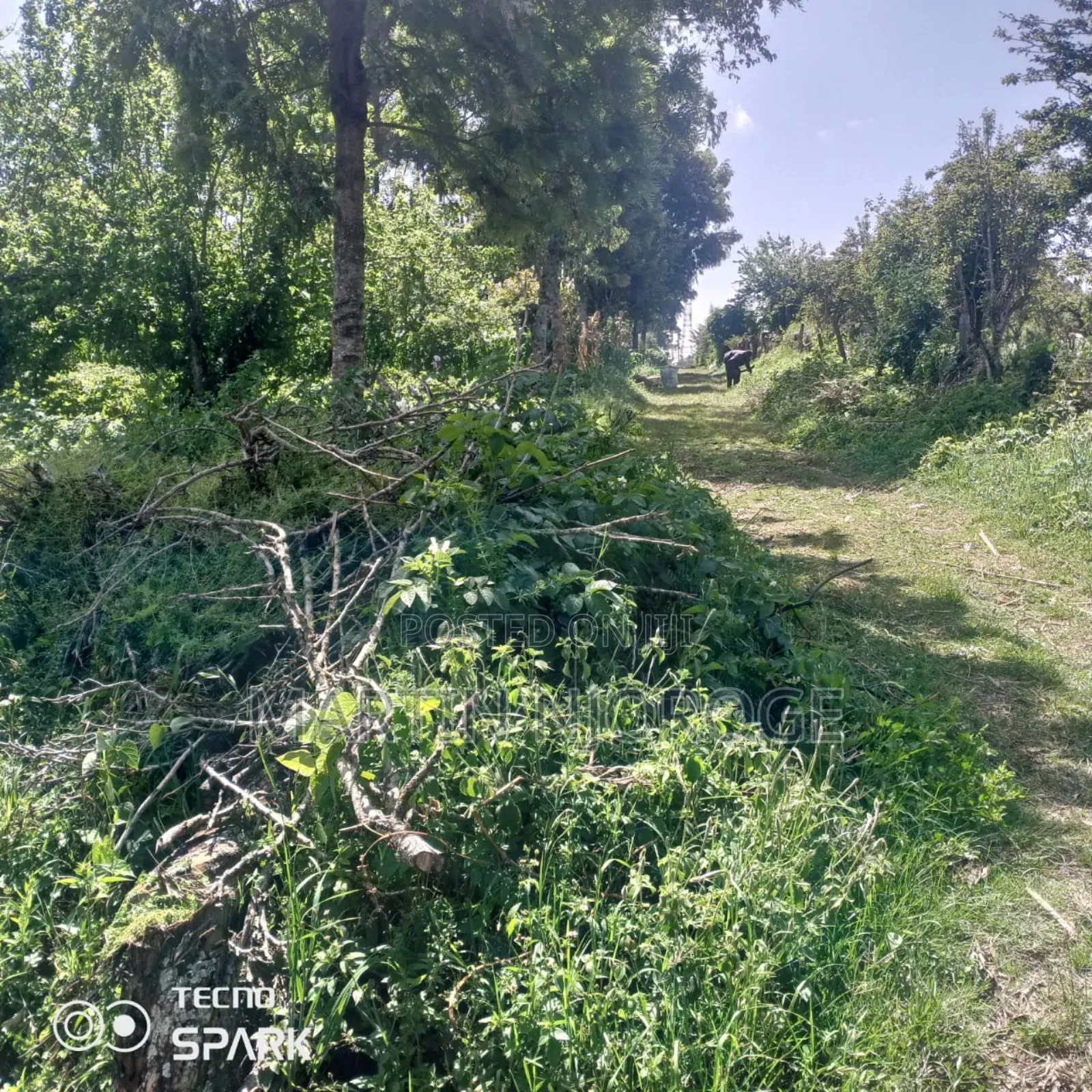 1 Acre Kinyogori in Bibirioni