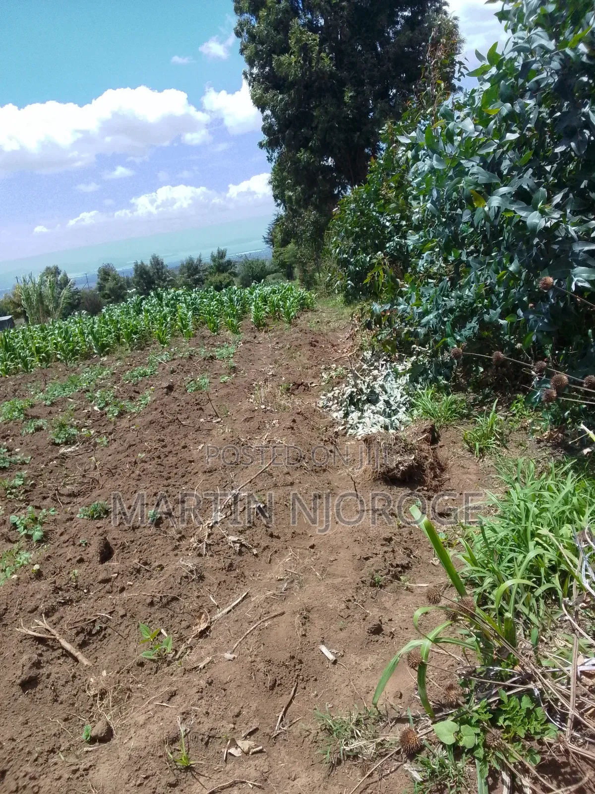 1 Acre Munyu in Kinungi