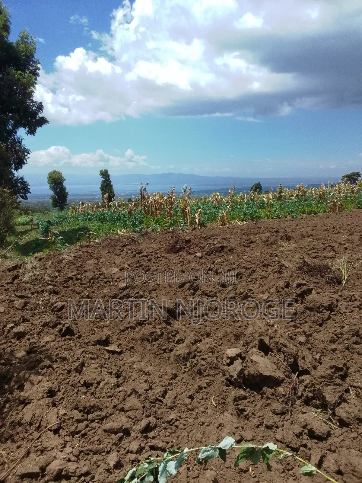 1 Acre Munyu in Kinungi