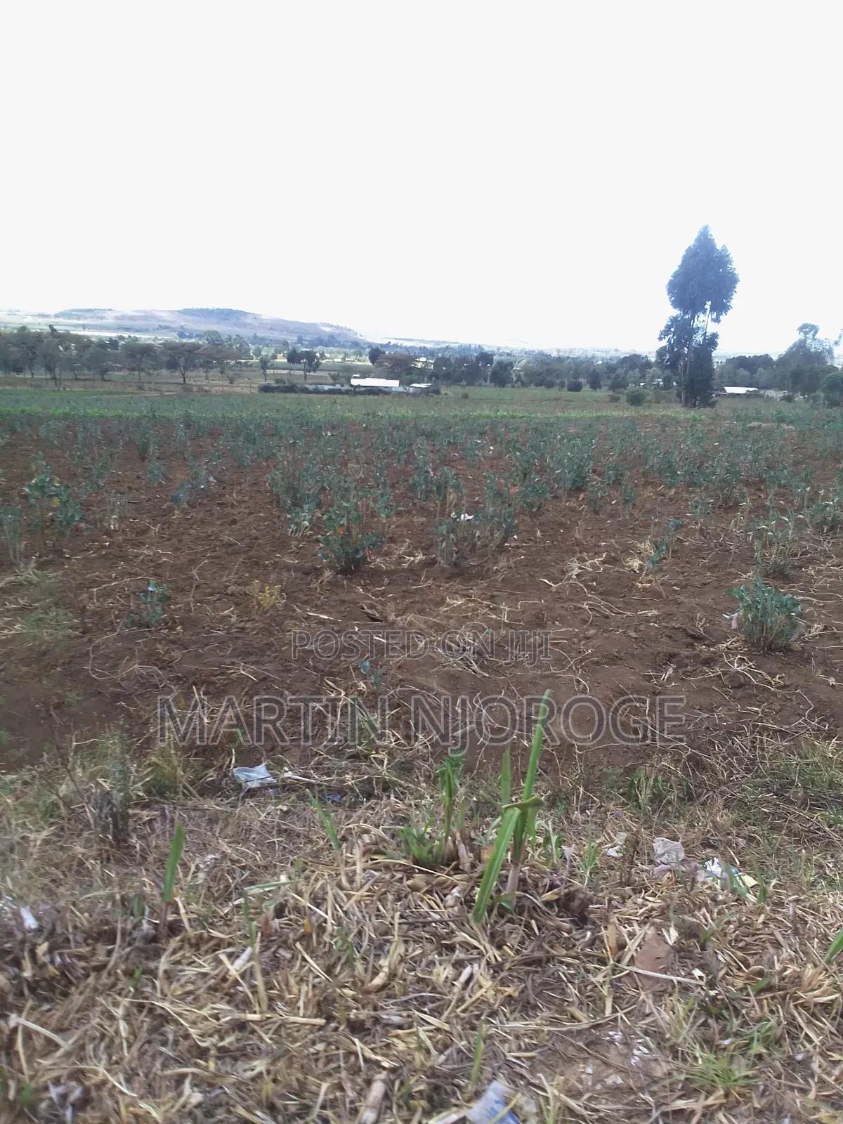 1 Acre Longonot in Naivasha East
