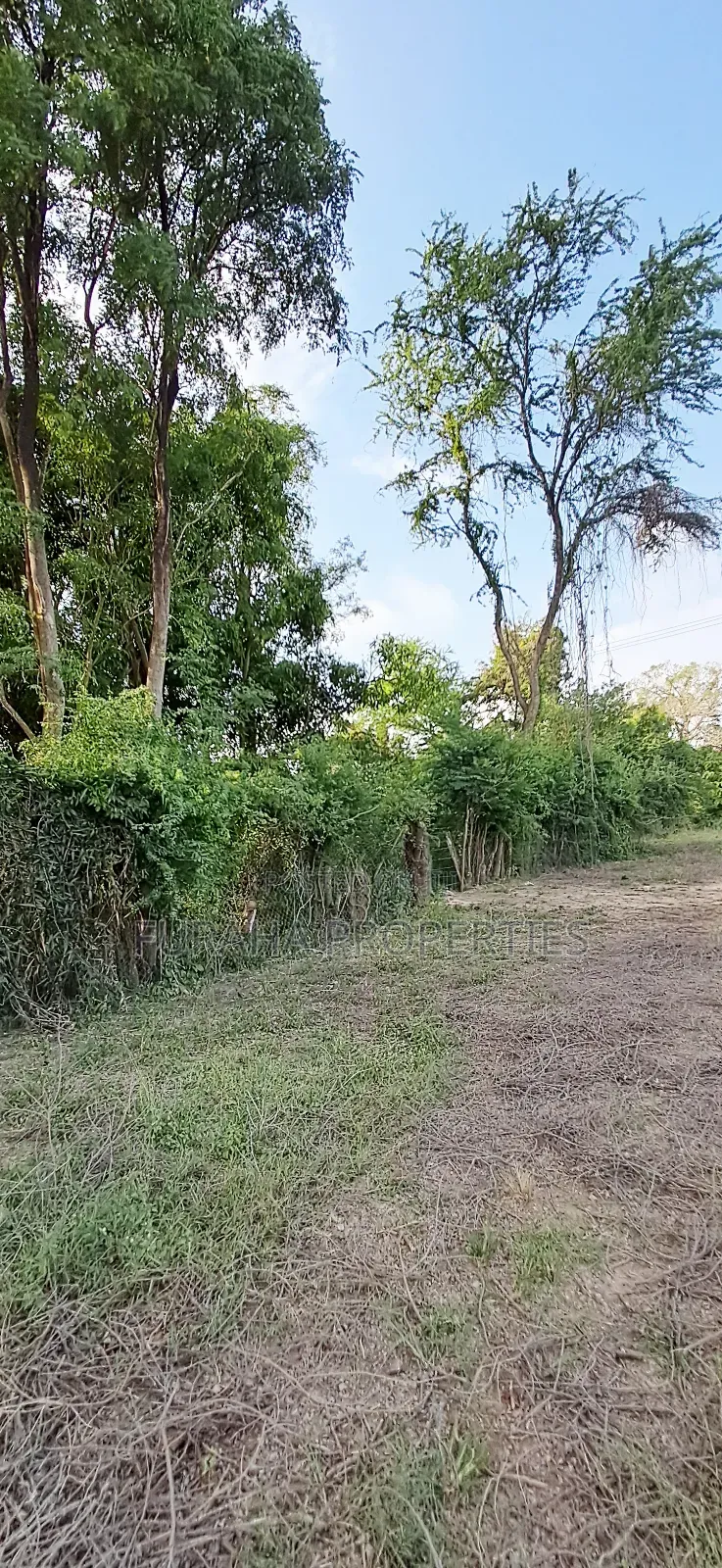 For Sale Quater Acre Plot Kikambala in Kikambala