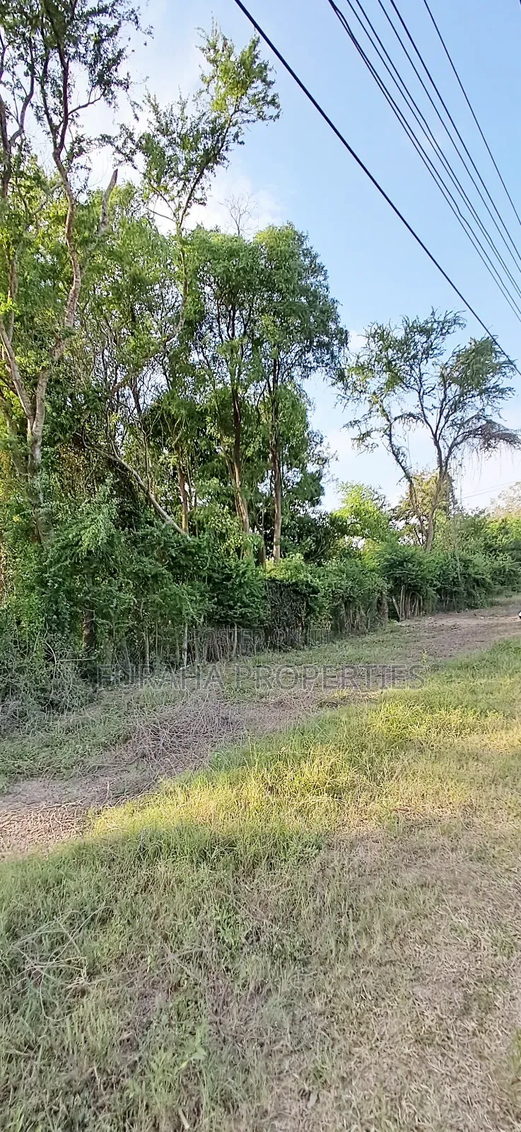 For Sale Quater Acre Plot Kikambala in Kikambala