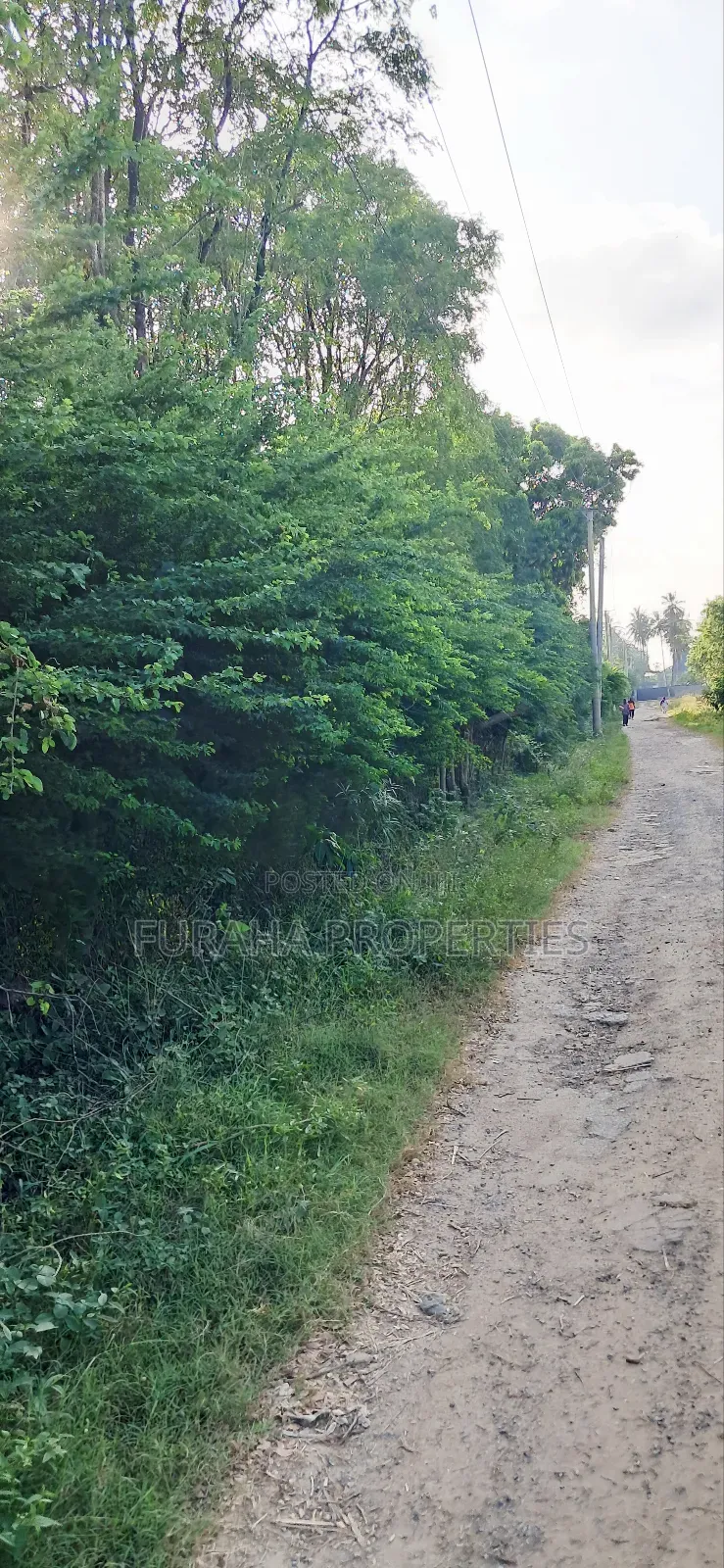 For Sale Quater Acre Plot Kikambala in Kikambala