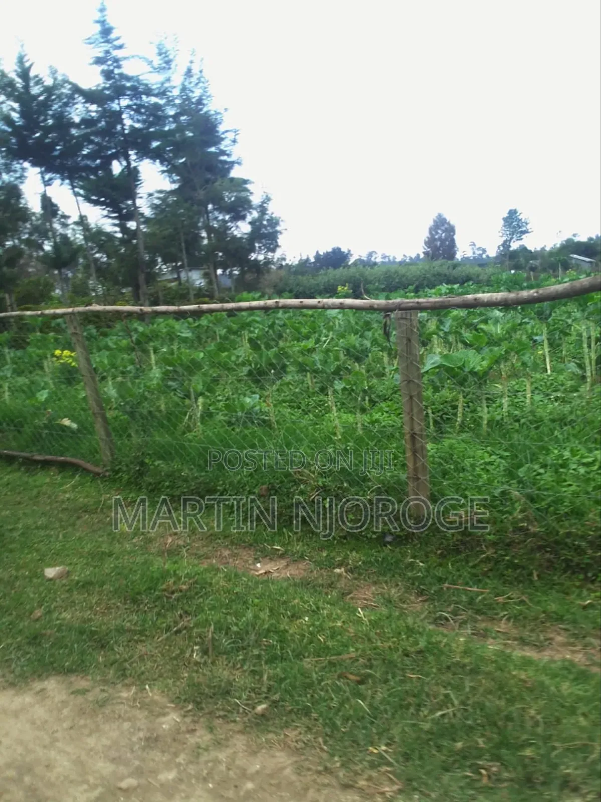 3 Acres Undiri, Kikuyu in Nderi