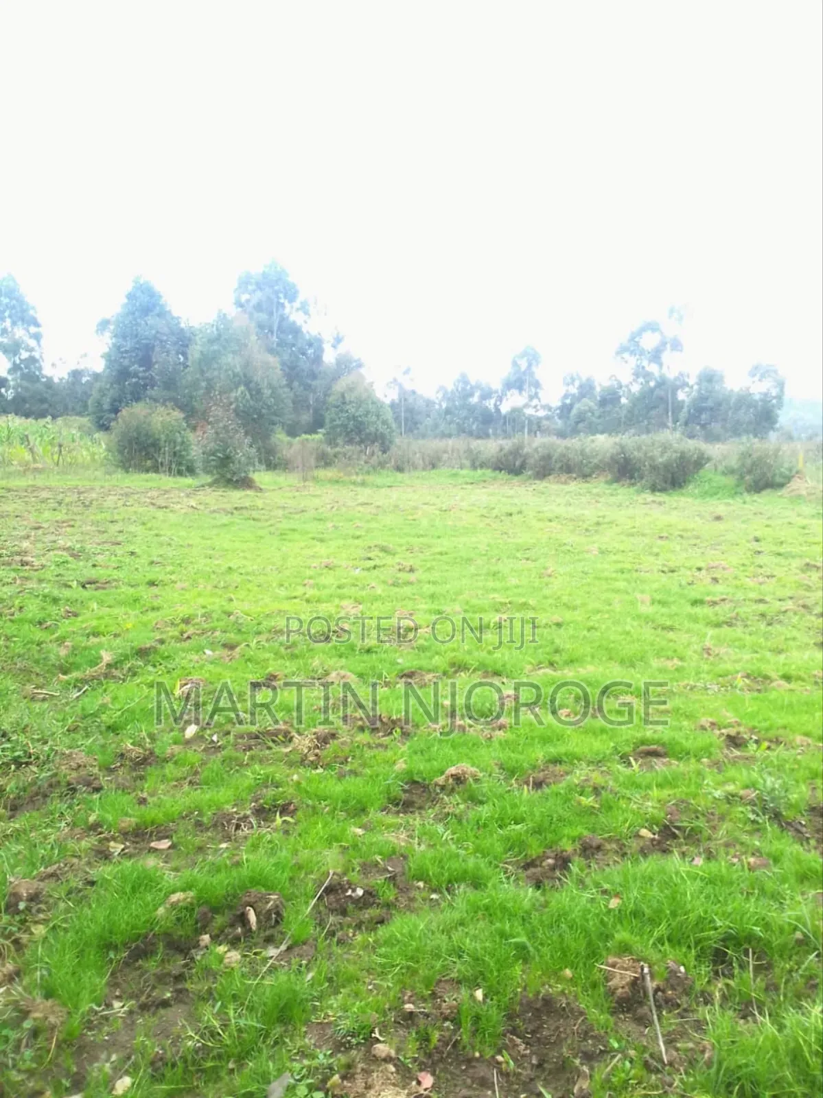3 Acres Undiri, Kikuyu in Nderi