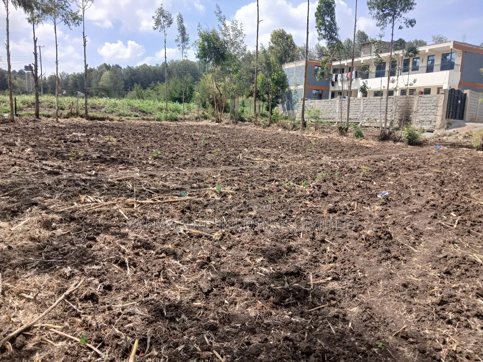 Prime Quarter Acre for Sale in Ngong, Matasia in Matasia