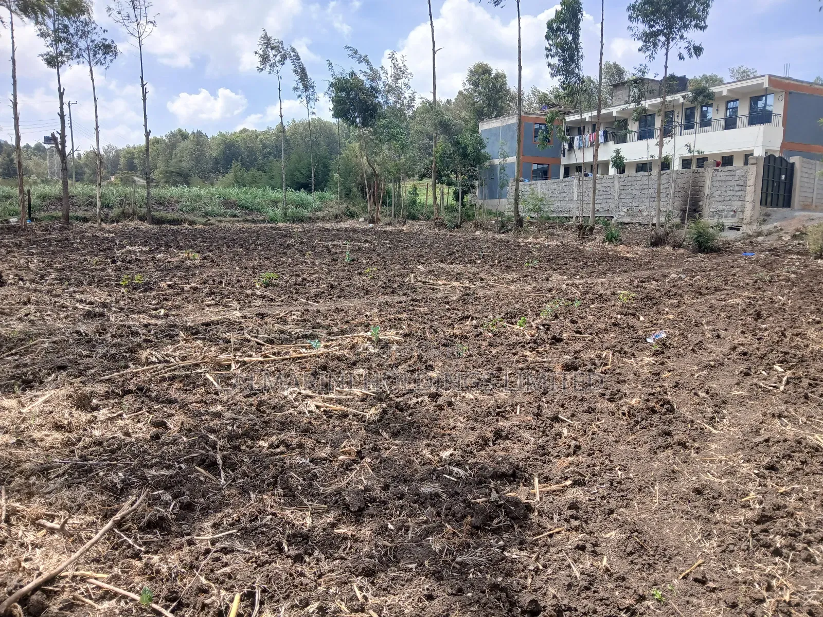 Prime Quarter Acre for Sale in Ngong, Matasia in Matasia