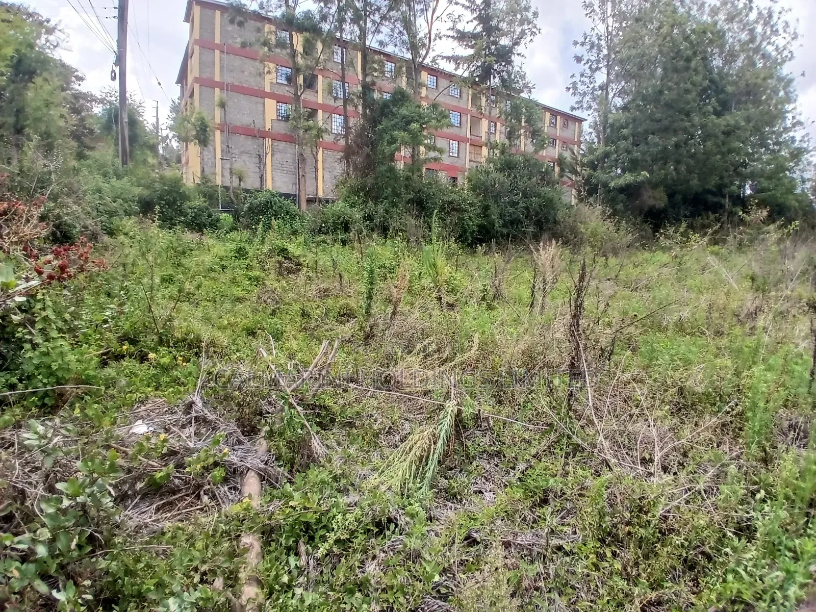 Prime Commercial 100 by 100 Plot for Sale in Ngong, Matasia in Matasia