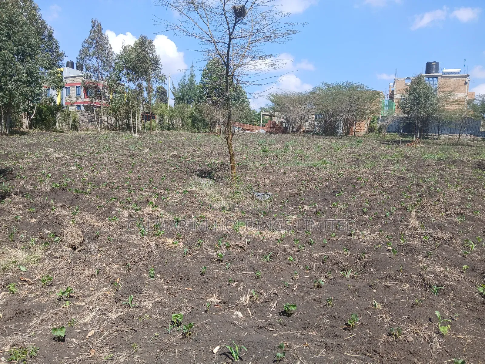 A Full Acre Piece of Prime Land for Sale in Merisho, Matasia in Matasia