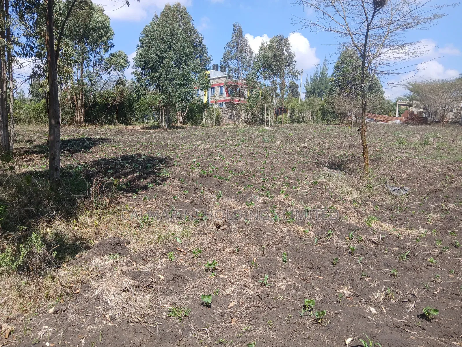 A Full Acre Piece of Prime Land for Sale in Merisho, Matasia in Matasia