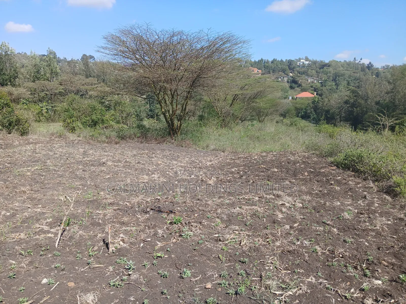 Prime 1/8 Acre Plots for Sale in Merisho, Matasia Near Tarmac in Matasia