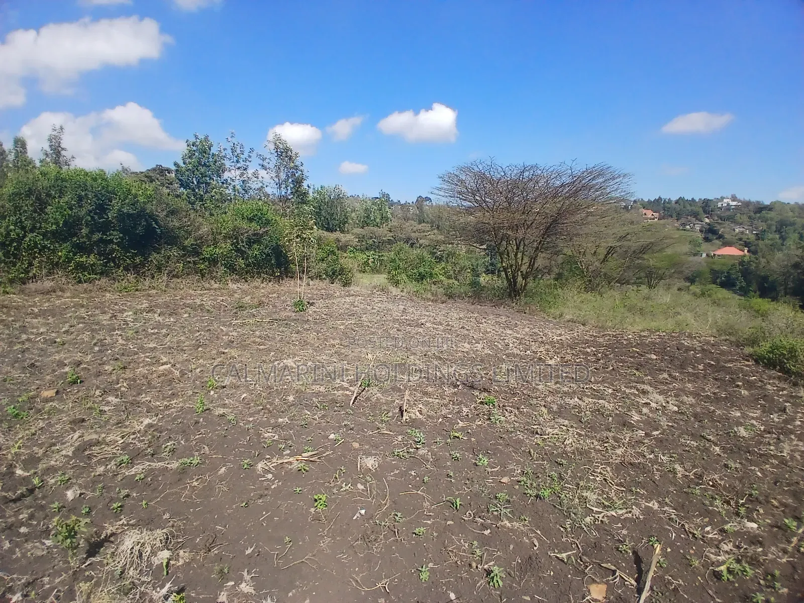 Prime 1/8 Acre Plots for Sale in Merisho, Matasia Near Tarmac in Matasia
