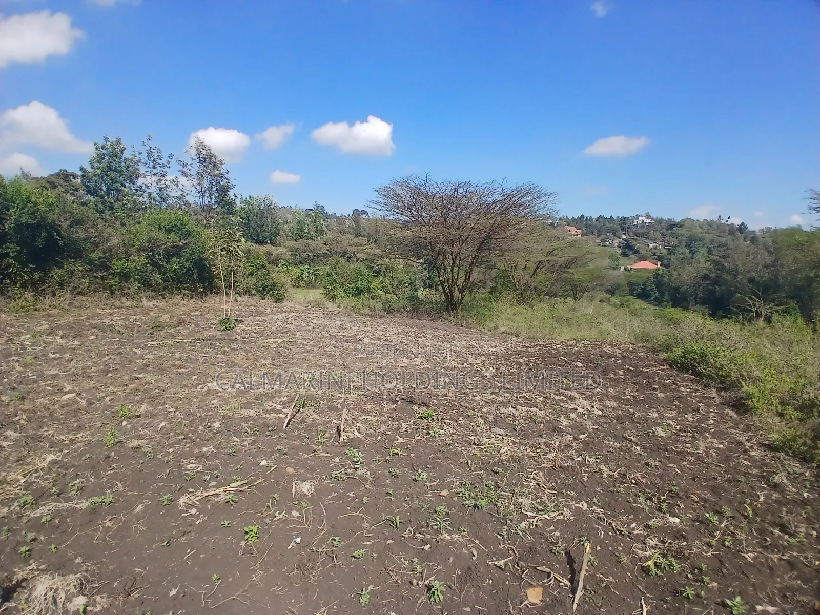 Prime 1/8 Acre Plots for Sale in Merisho, Matasia Near Tarmac in Matasia