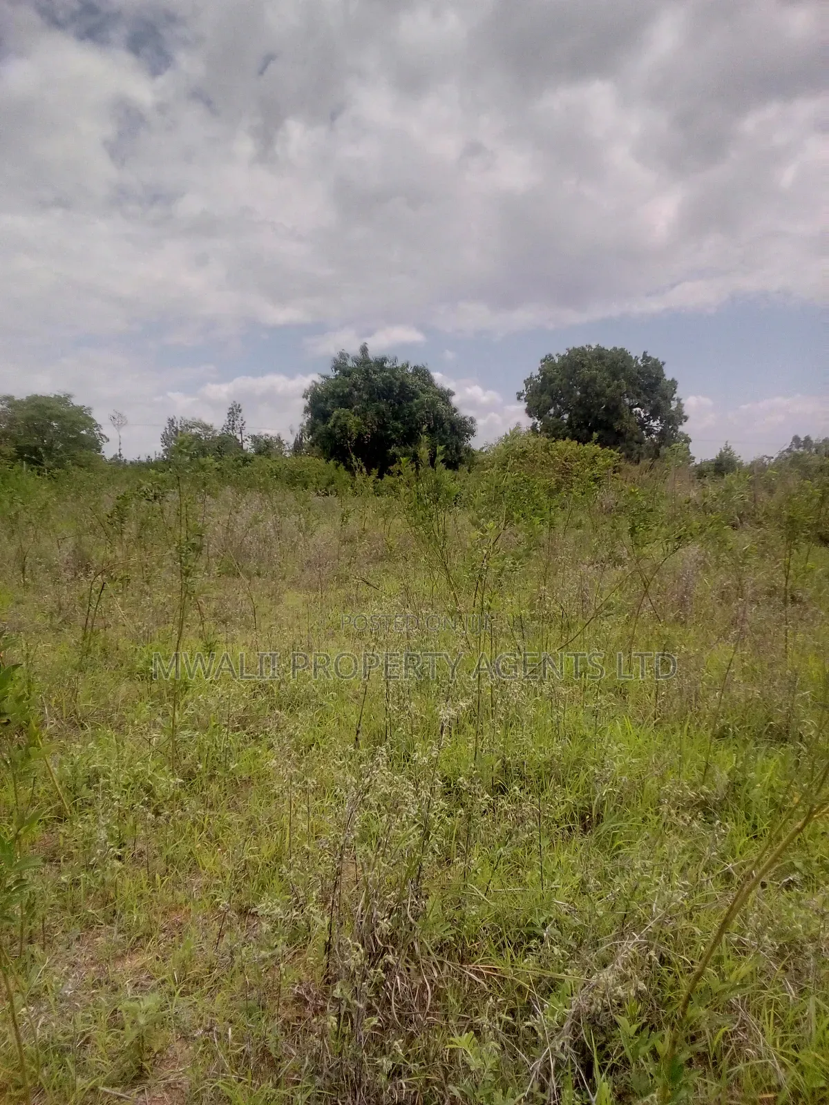 3/4 of an Acre, Matinyani,Kitui in Matinyani