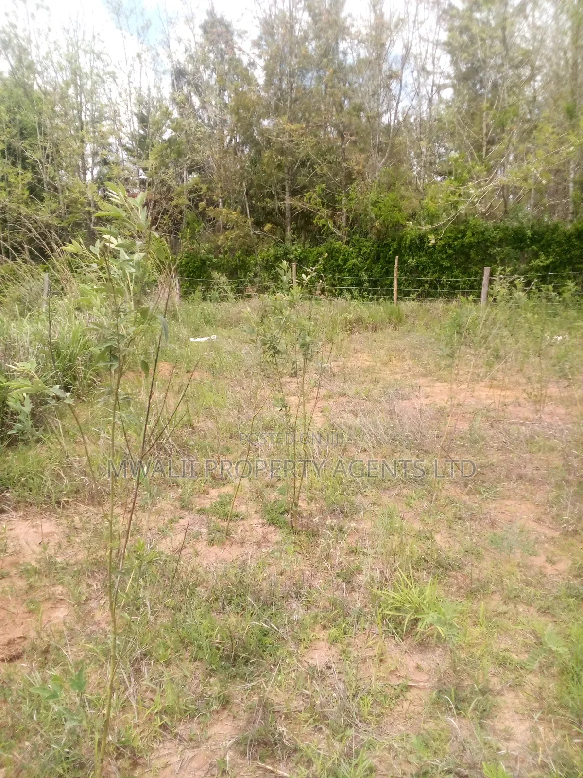 3/4 of an Acre, Matinyani,Kitui in Matinyani