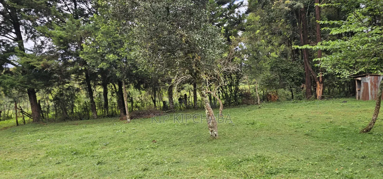 3bdrm Farm House in Mlango, Kapseret for sale in Kapseret