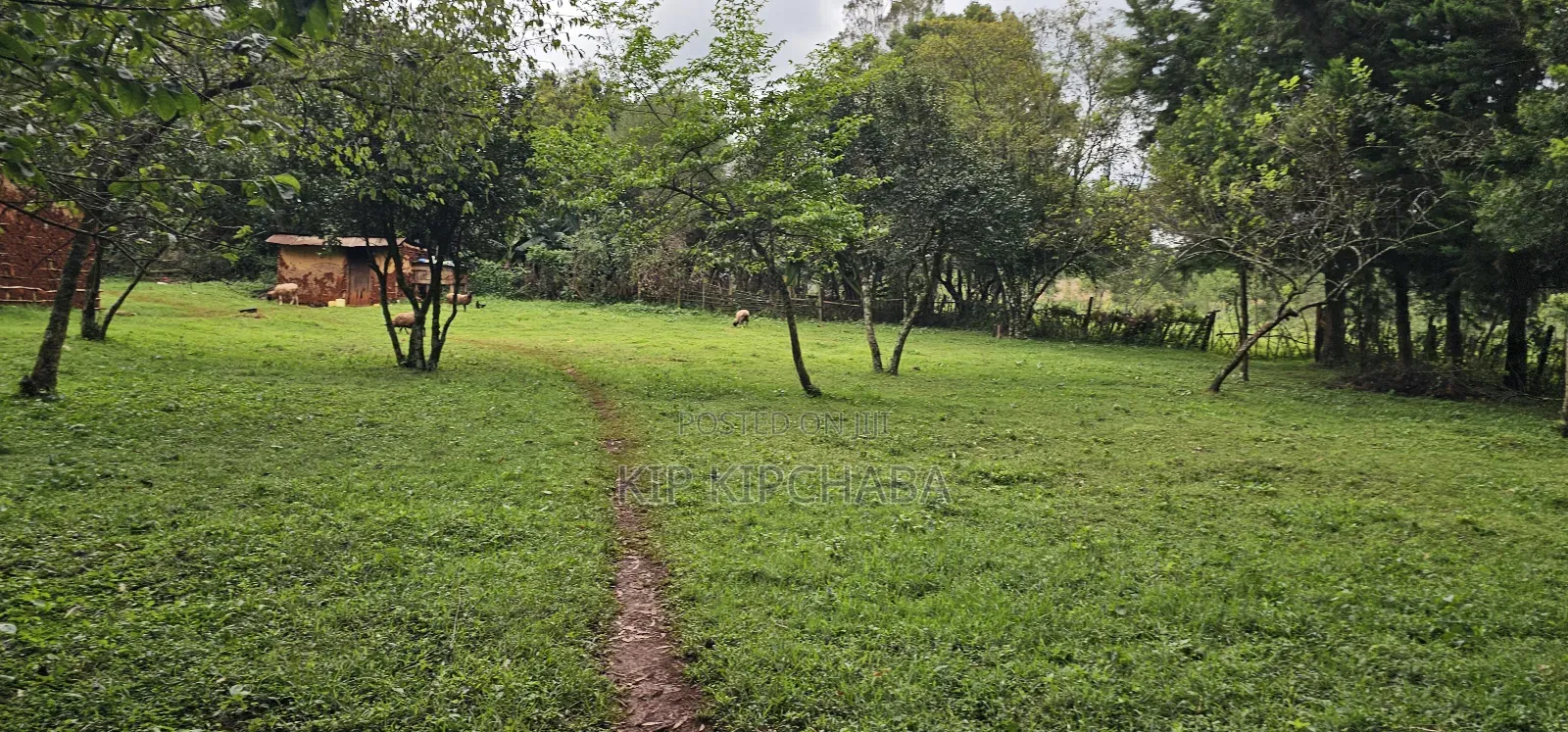 3bdrm Farm House in Mlango, Kapseret for sale in Kapseret