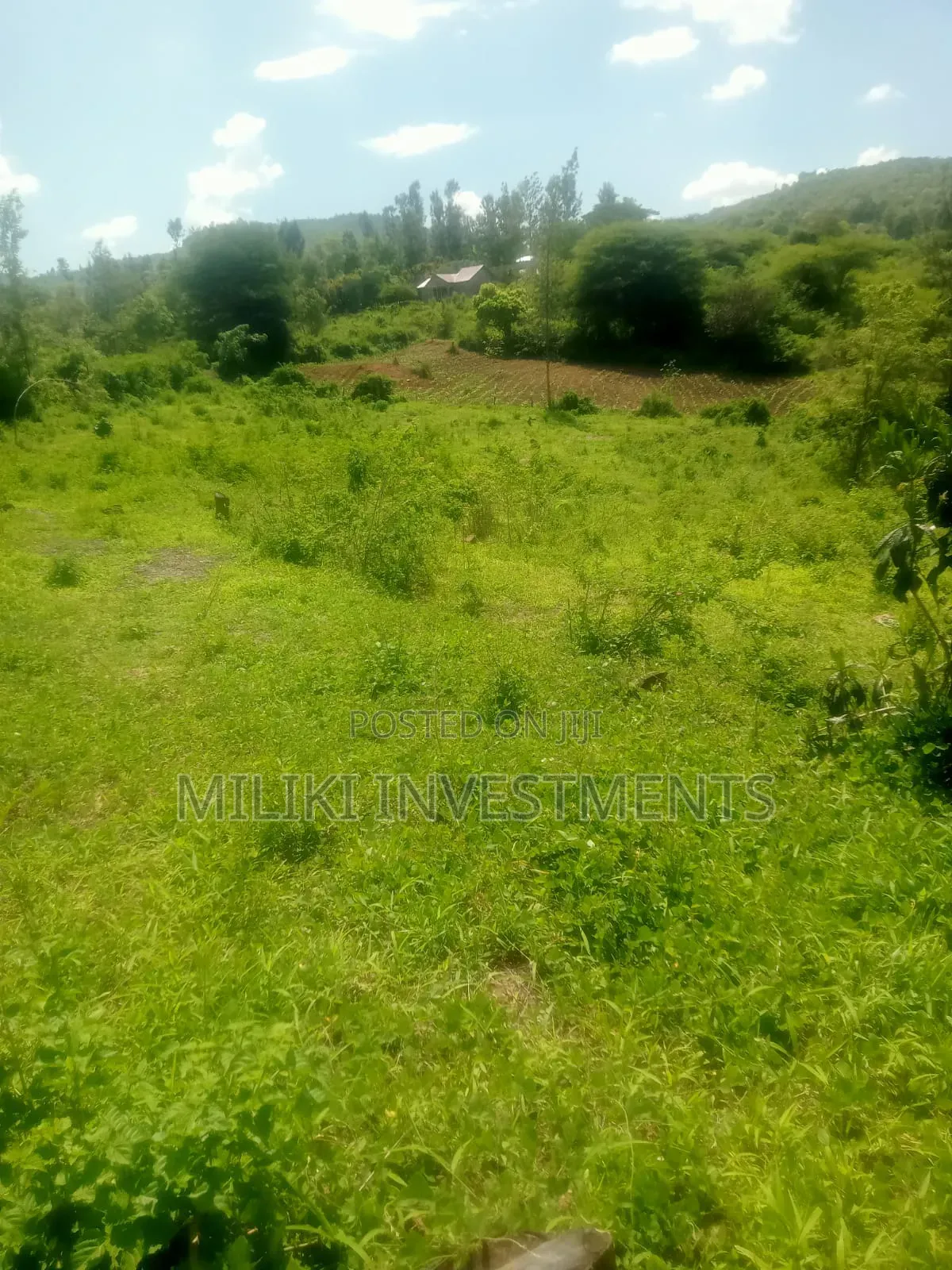 3 Acres Aon Sale at Sabasaba- Igikiro in Makuyu