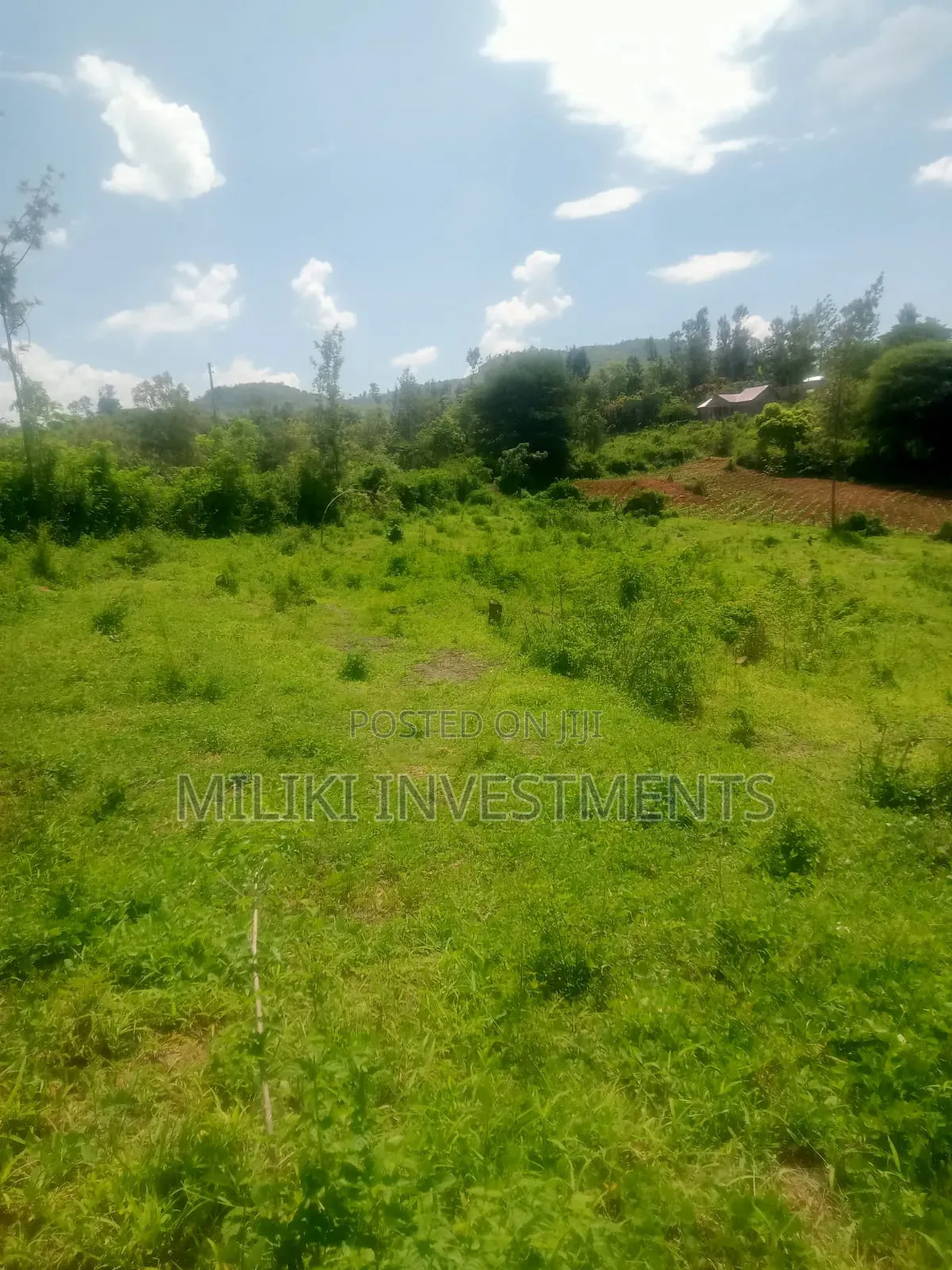 3 Acres Aon Sale at Sabasaba- Igikiro in Makuyu