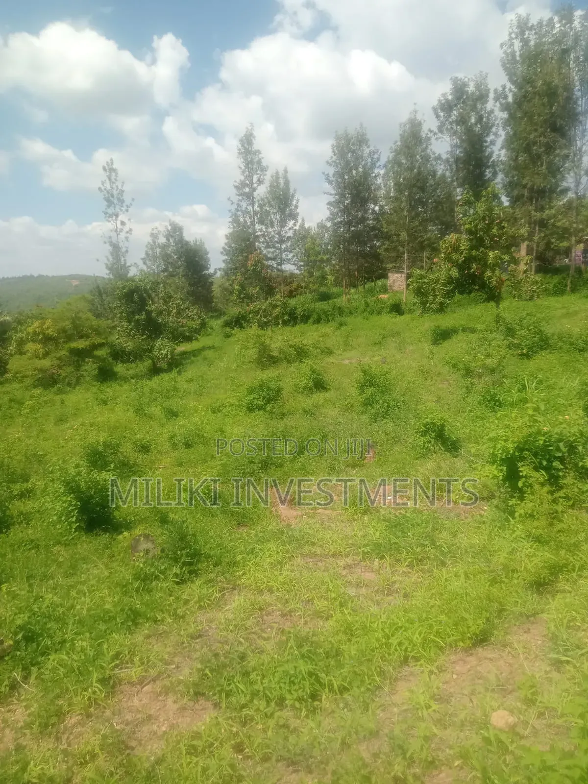 3 Acres Aon Sale at Sabasaba- Igikiro in Makuyu