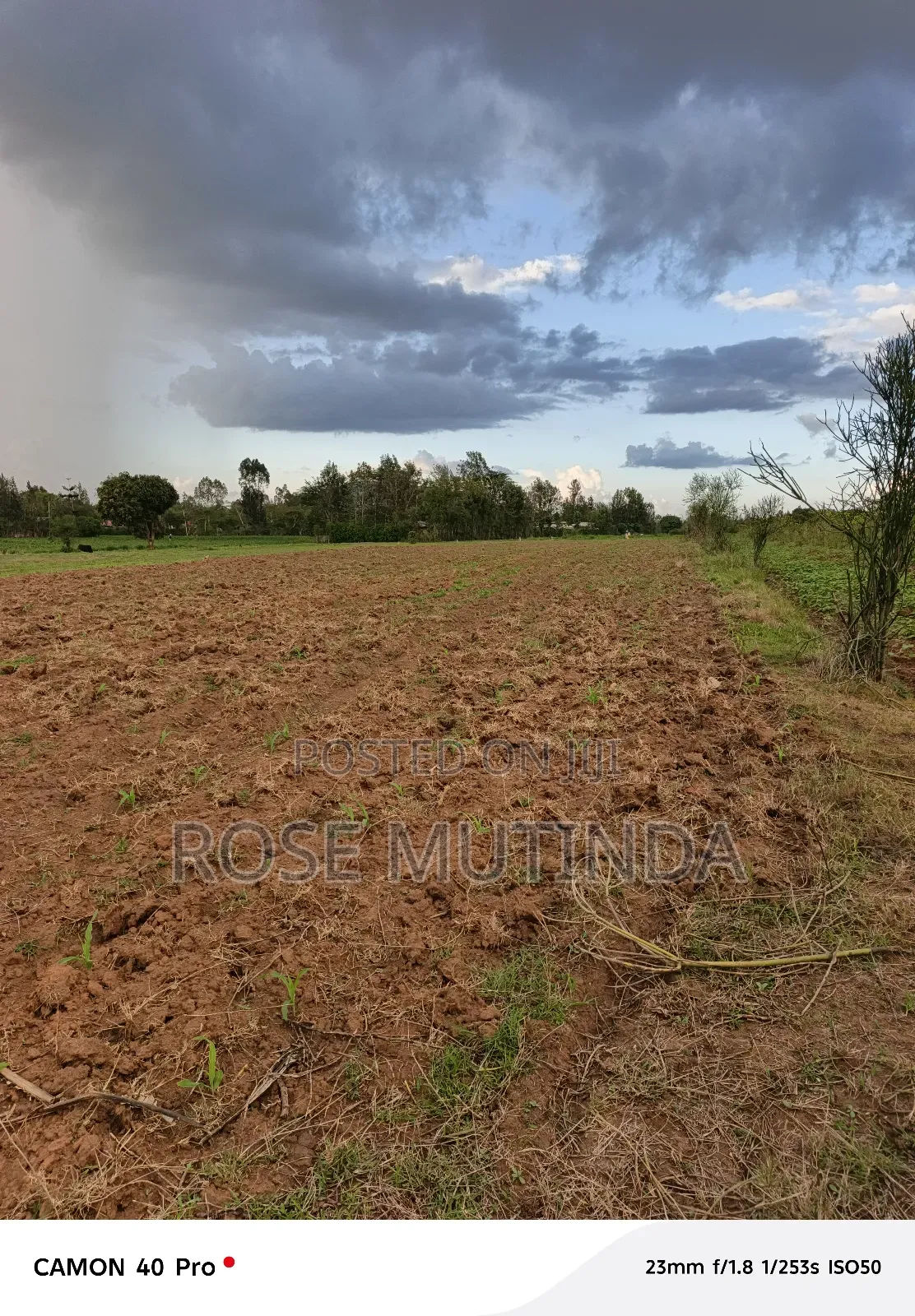 1and Half Acre at Tala in Tala