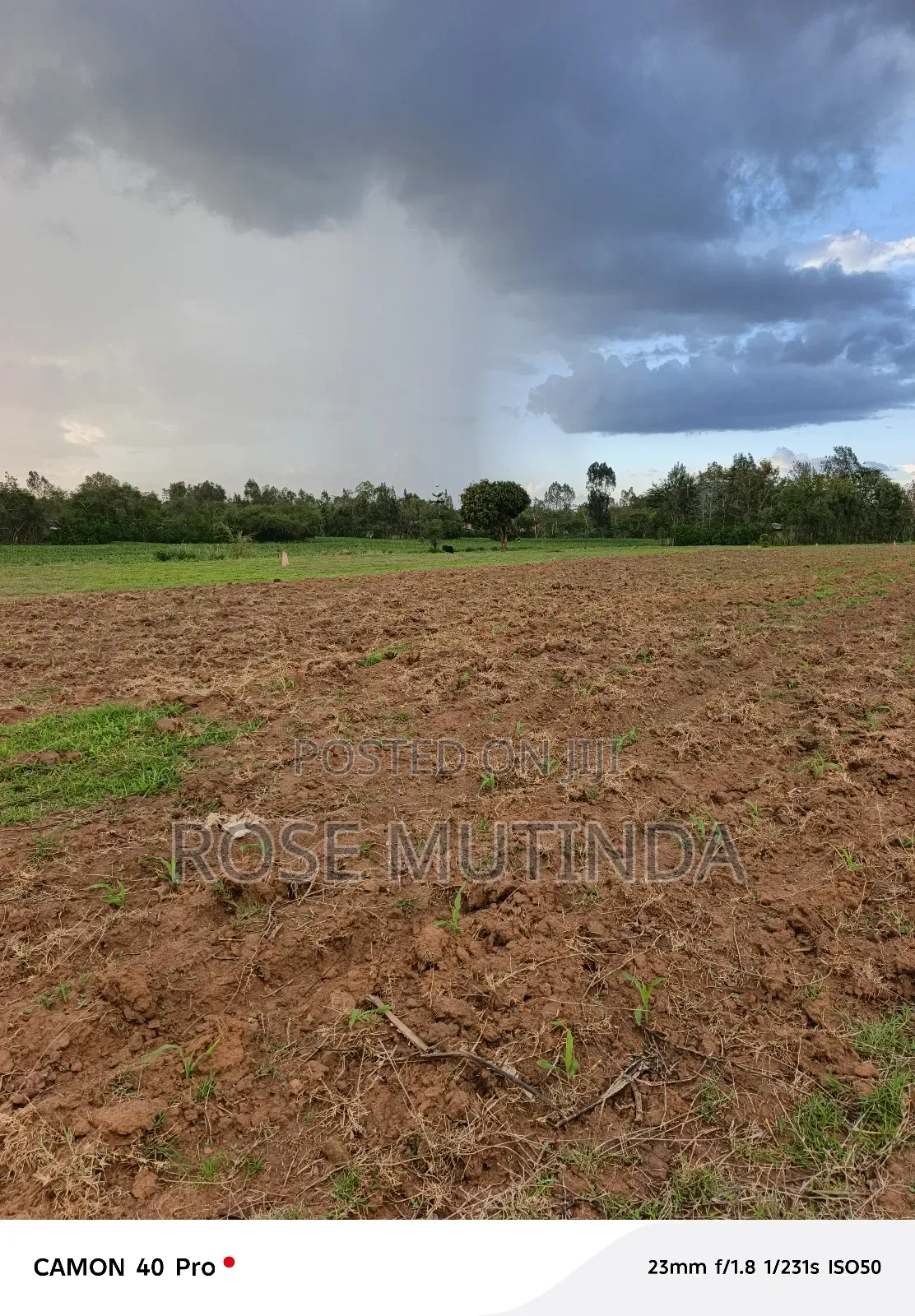 1and Half Acre at Tala in Tala