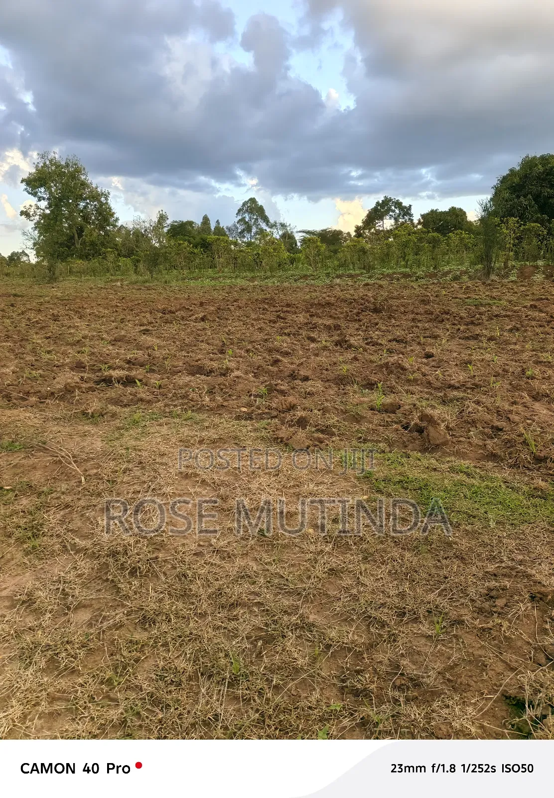 1and Half Acre at Tala in Tala